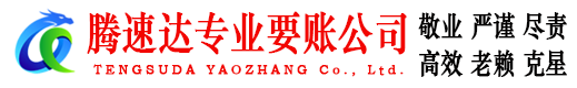 定海清债公司